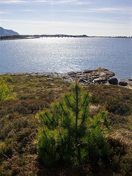 Aalesund Airport 3*